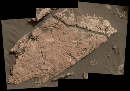 Possible martian mud cracks