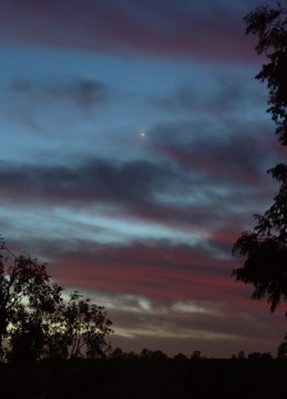 Dusk view of the planet Venus