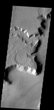 Mars Odyssey image of a tributary channel in Mars' Deuteronilus region.