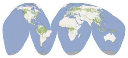 Forest height map