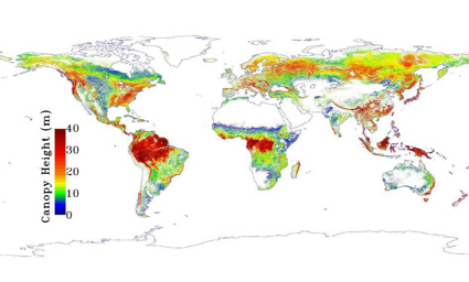 Satellite map of forest canopy height