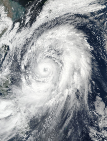 Typhoon Lan